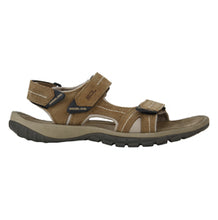 Load image into Gallery viewer, WINGNUT – GC 2185116