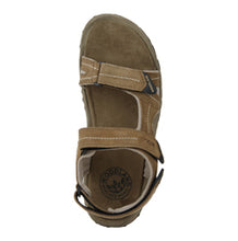 Load image into Gallery viewer, WINGNUT – GC 2185116