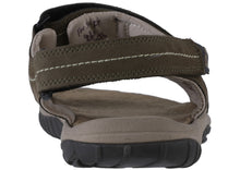 Load image into Gallery viewer, WINGNUT – GC 2185116