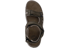 Load image into Gallery viewer, WINGNUT – GC 2185116