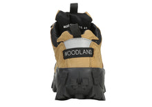 Load image into Gallery viewer, GORDONIA – GC 40777