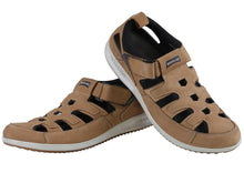 Load image into Gallery viewer, BUCKEYE – GD 2452117