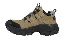 Load image into Gallery viewer, GORDONIA – GC 40777