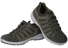 Load image into Gallery viewer, LINDEN - LS 2638117