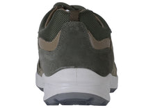 Load image into Gallery viewer, LINDEN - LS 2638117